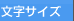 �����T�C�Y