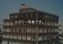 �_�~�[�摜